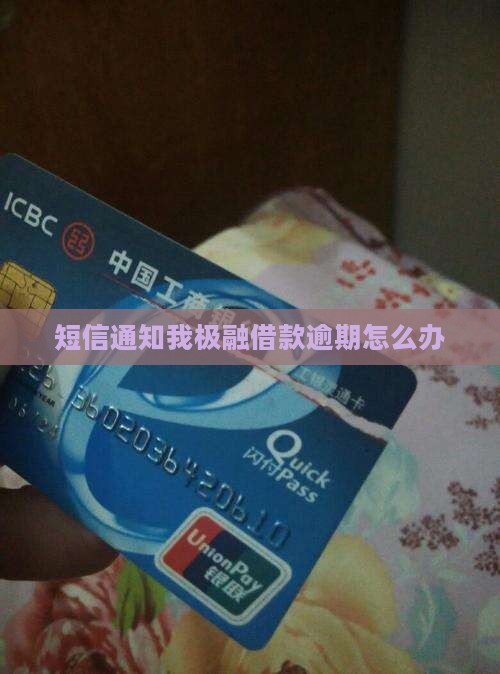 短信通知我极融借款逾期怎么办