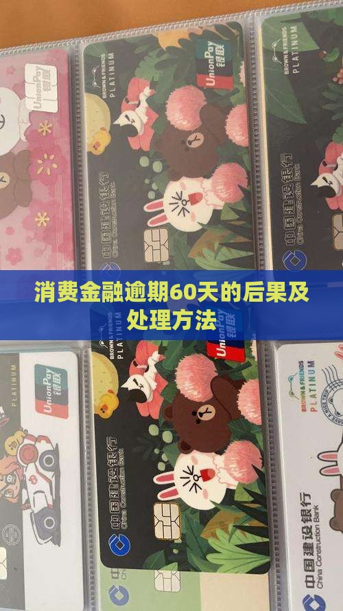 蒙商消费金融逾期60天的后果及处理方法