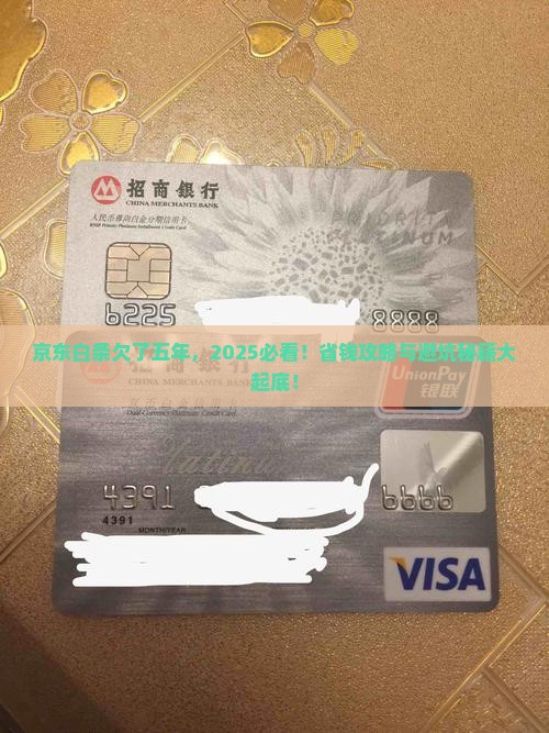 京东白条欠了五年