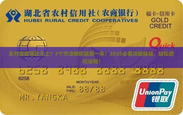 支付宝借钱还不上能申请一年延期吗