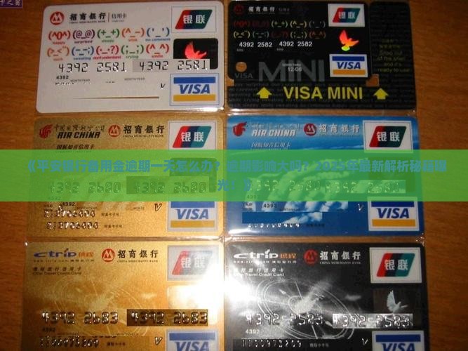 平安银行备用金逾期一天如何处理