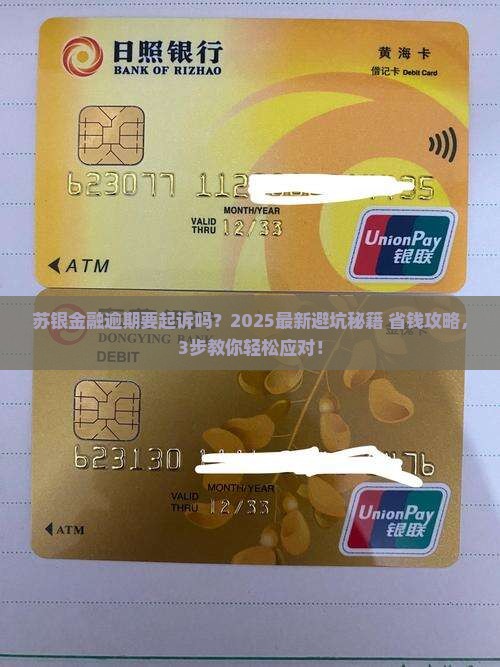 苏银金融逾期要起诉吗