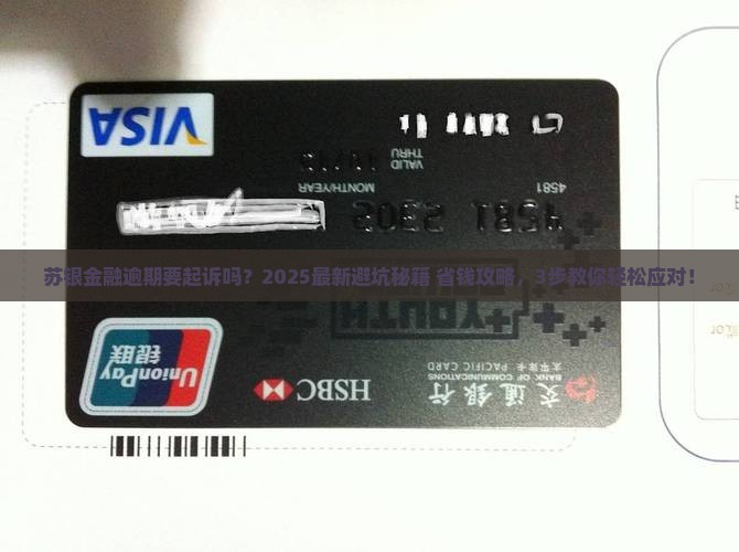 苏银金融逾期要起诉吗