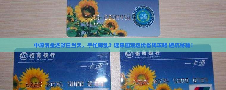 中原消金还款日当天如何处理