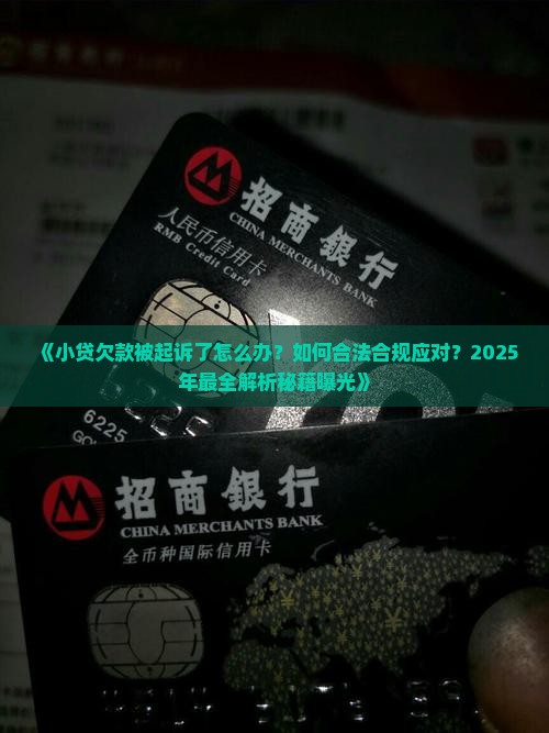 小贷欠款被起诉了怎么办