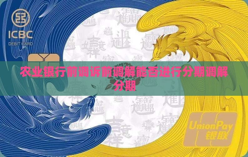 农业银行诉前调解能否进行分期付款