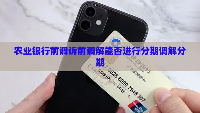 农业银行诉前调解能否进行分期付款