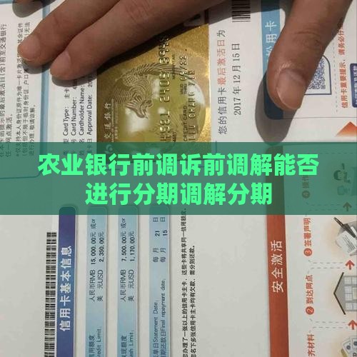 农业银行诉前调解能否进行分期付款