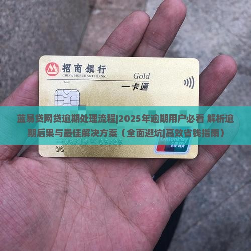 蓝易贷网贷逾期处理流程