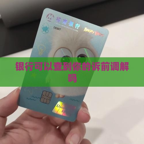 银行可以查到你的诉前调解吗