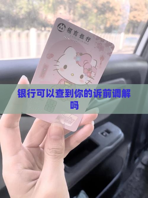 银行可以查到你的诉前调解吗