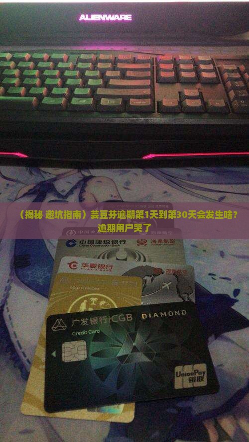芸豆芬逾期会怎么样芸豆芬逾期会有什么后果