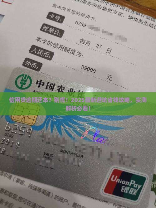 信用贷逾期还本怎么办