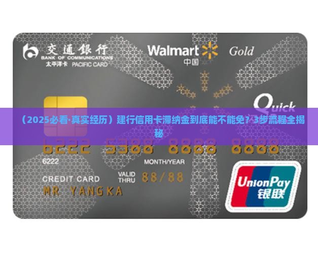 建行信用卡滞纳金减免流程详解