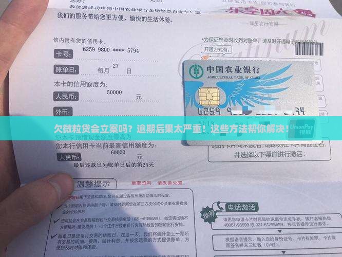 欠微粒贷会立案吗如何解决