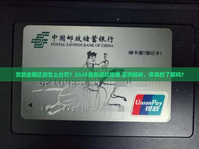贷款逾期还款怎么处罚最新规定