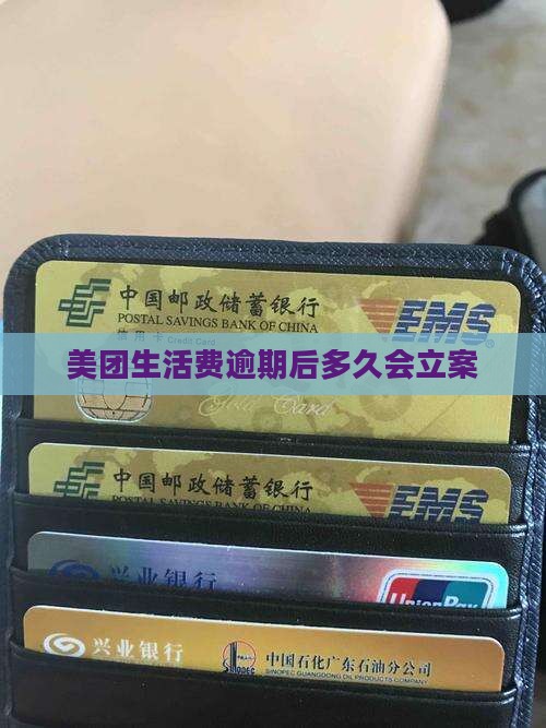 美团生活费逾期后多久会立案