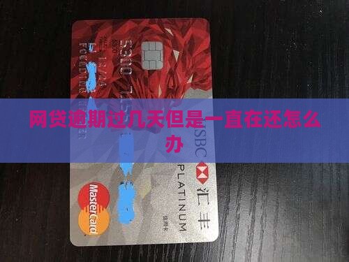 网贷逾期过几天但是一直在还怎么办