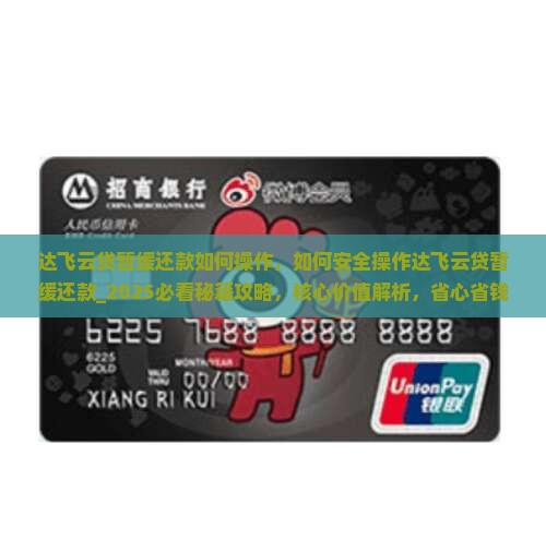 达飞云贷暂缓还款如何操作