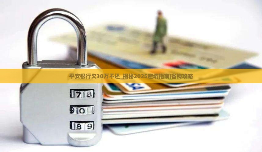 平安银行欠30万不还