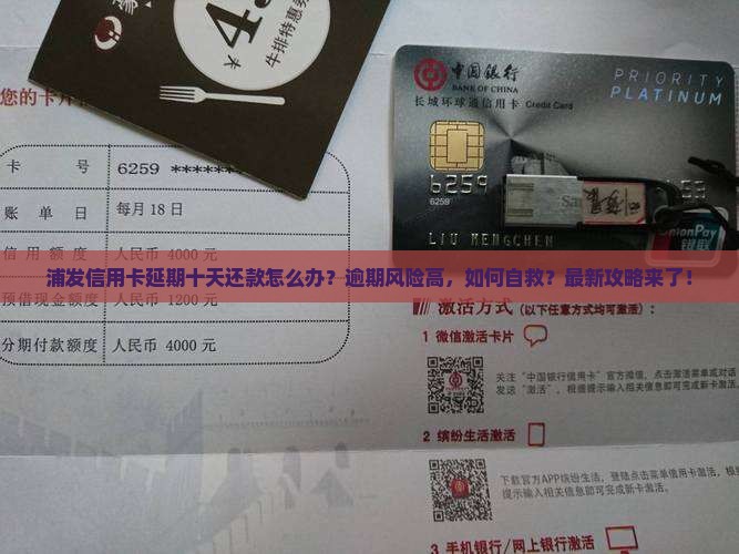 浦发信用卡延期十天还款如何处理