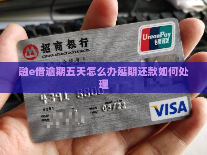 融e借逾期五天怎么办延期还款