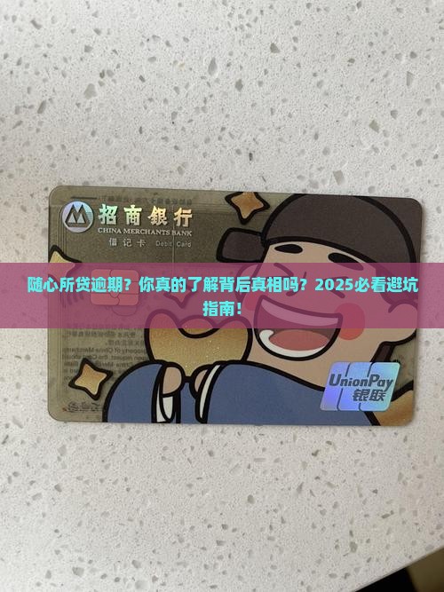随心所贷逾期