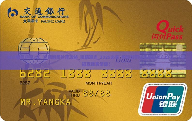 960借条逾期2年