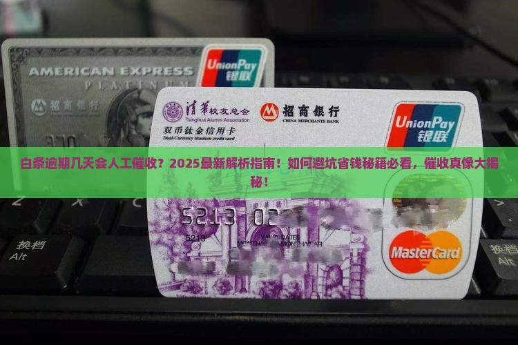 白条逾期几天人工催收