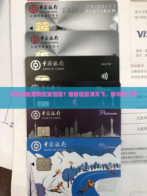 支付宝逾期到处发信息