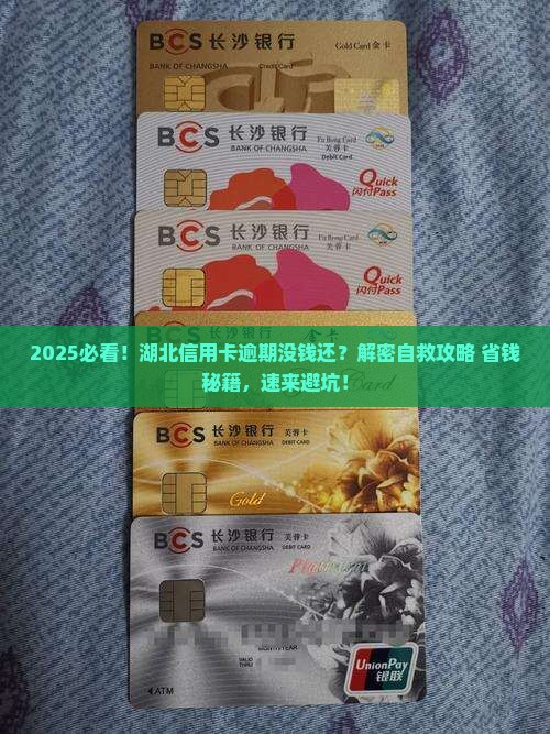 湖北信用卡逾期无力偿还怎么办