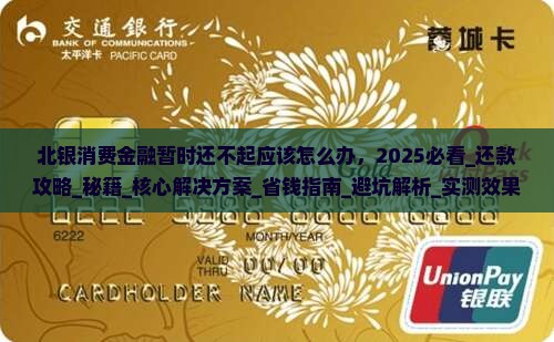 北银消费金融暂时还不起应该怎么办