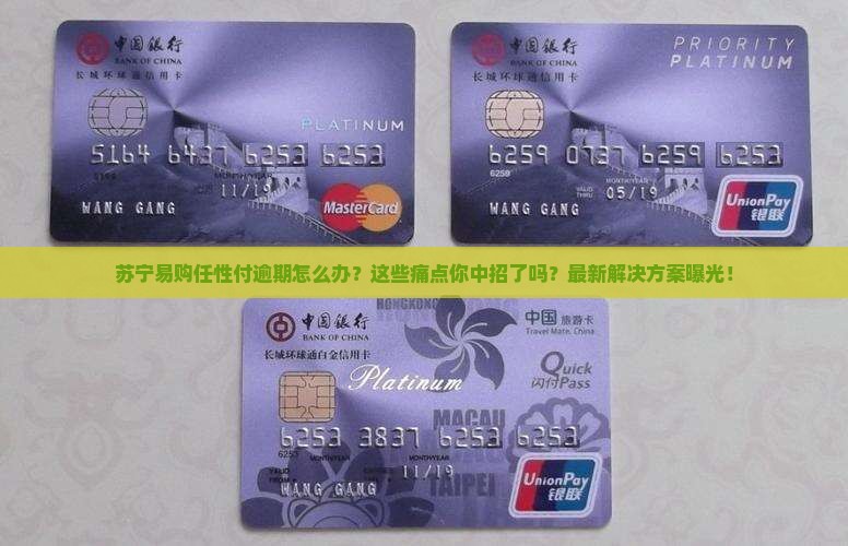 苏宁易购用任性付逾期如何处理