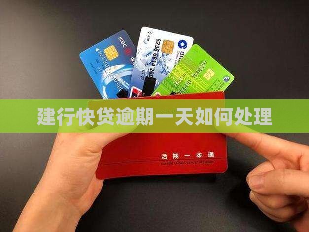 建设银行快贷利息逾期1天怎么处理