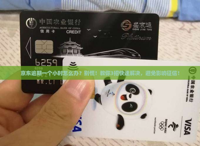 京东白条逾期一个小时怎么办
