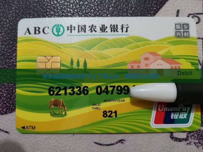 京东白条还不上判刑怎么办