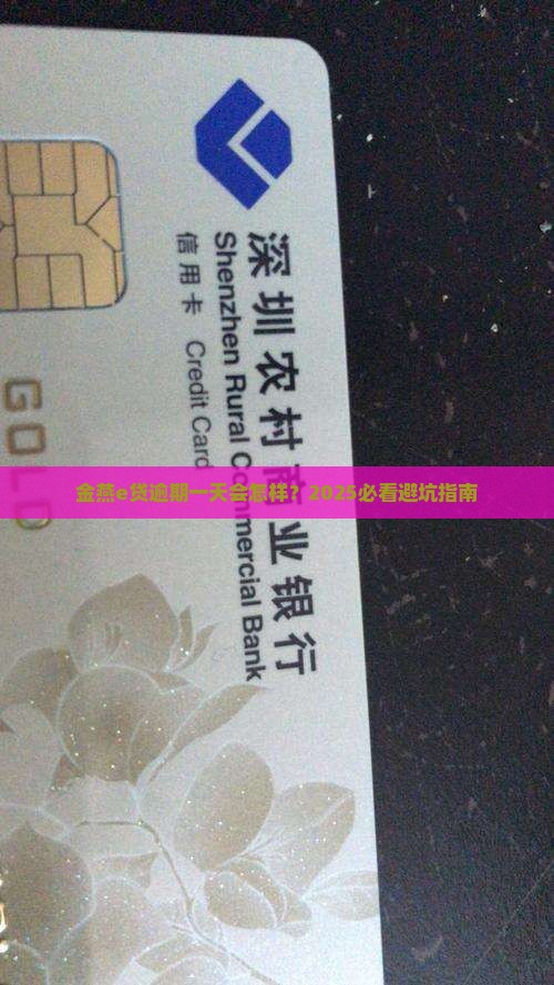 金燕e贷逾期一天后果严重吗