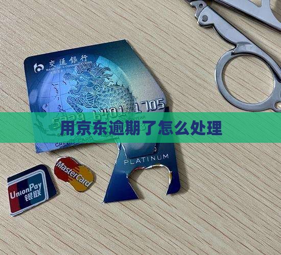 用京东白条逾期了怎么处理