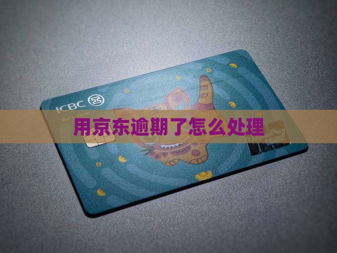 用京东白条逾期了怎么处理