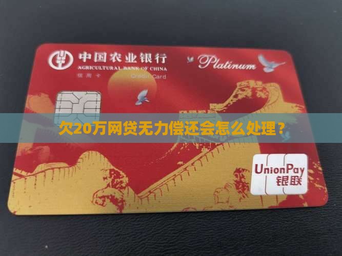 欠20万网贷无力偿还会怎么处理
