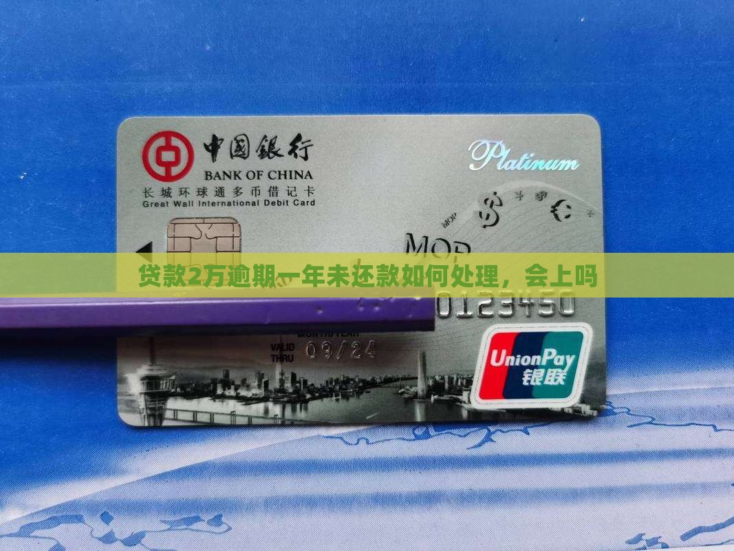 贷款2万逾期一年未还款如何处理