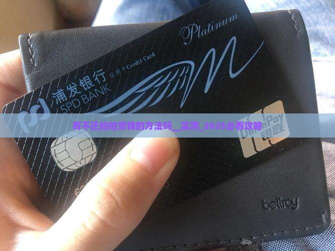 有不还拍拍贷钱的方法吗