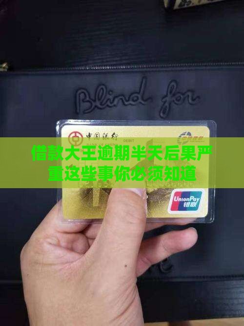 借款大王逾期半天