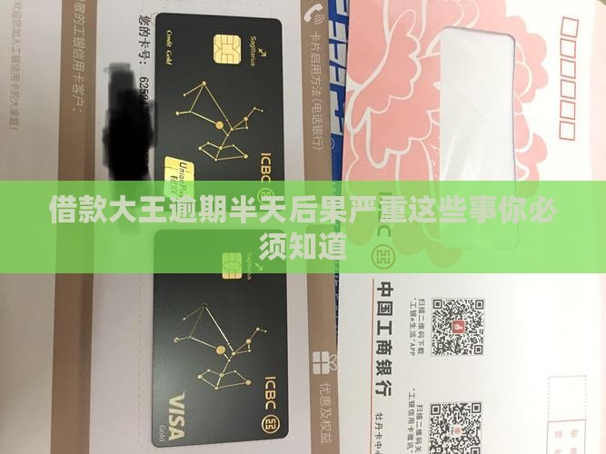 借款大王逾期半天