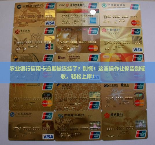 农业银行信用卡逾期被冻结了