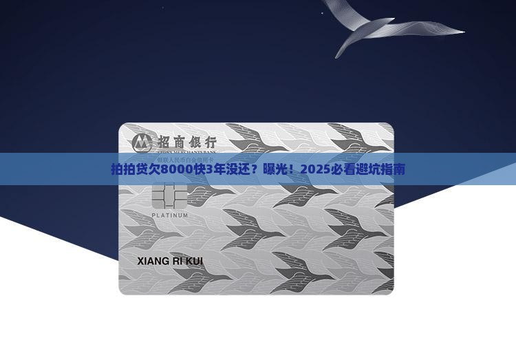 拍拍贷欠8000快3年没还