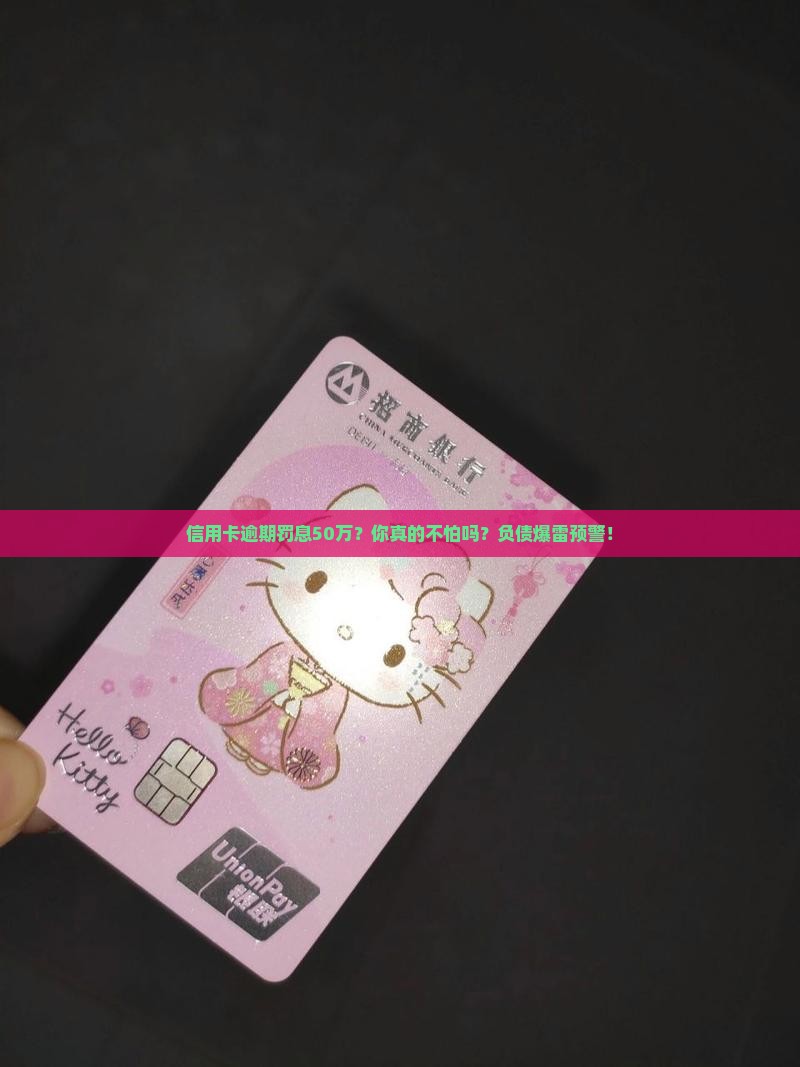 信用卡逾期罚息50万