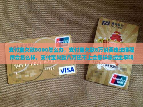 支付宝欠款8000怎么办