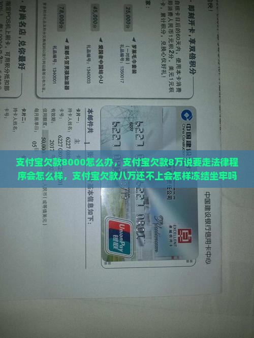 支付宝欠款8000怎么办