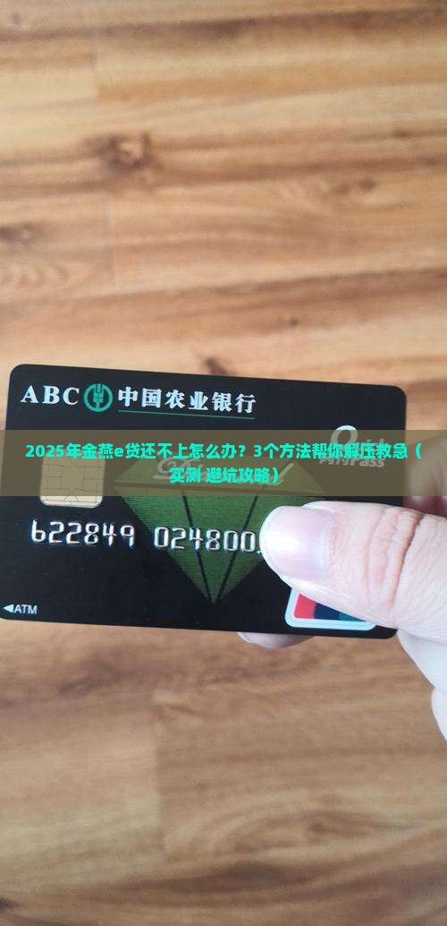 金燕e贷无法还款怎么办